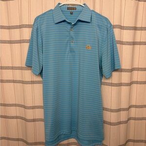Peter Millar Palmetto Bluff Blue Striped Polo